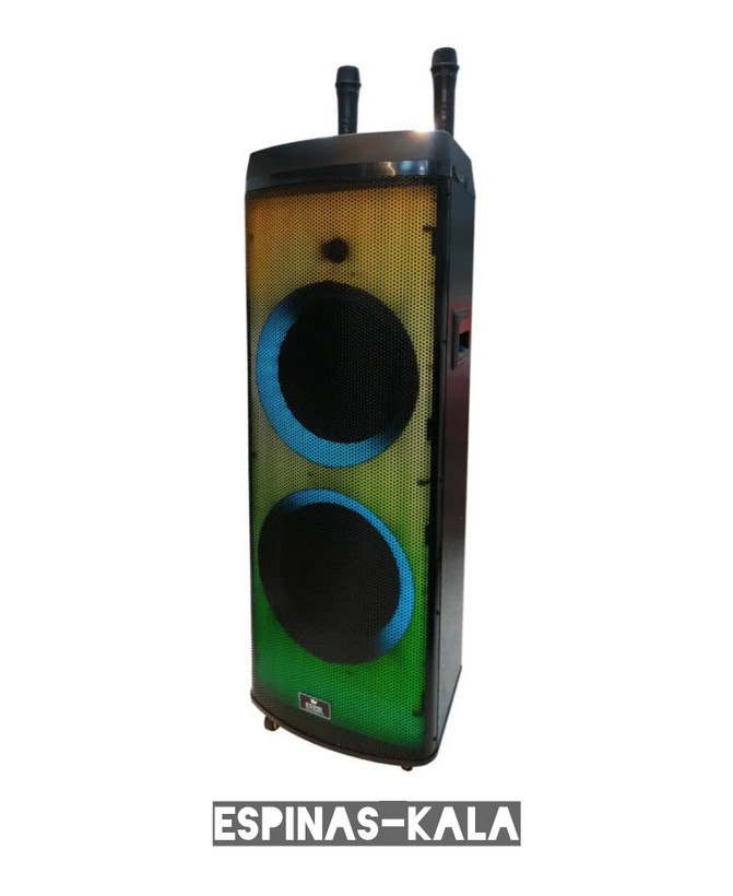 اسپیکر شارژی اِور مدل 1012